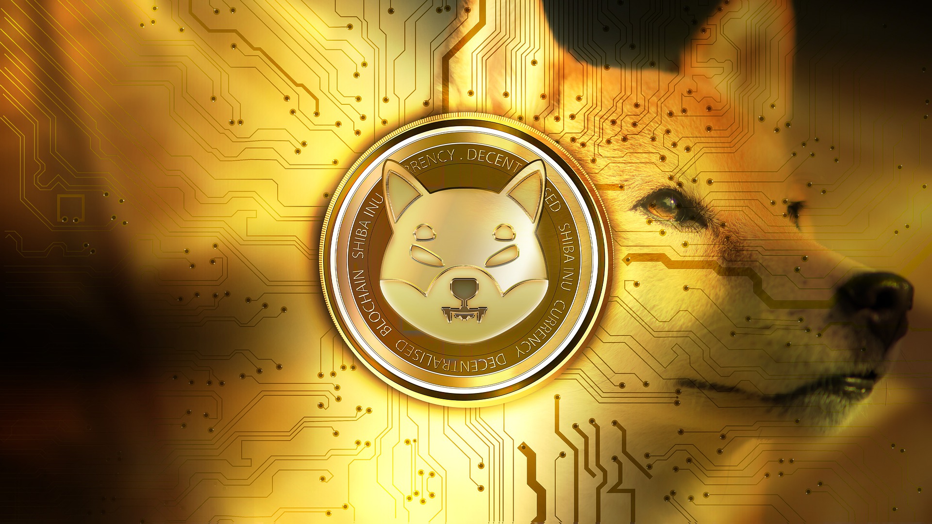 Online Electronics Retailer Newegg will Accept Shiba Inu During the Holidays