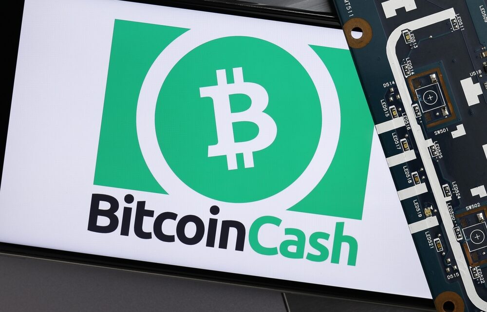 Bitcoin Cash (BCH): Investors Should Prepare for This in September